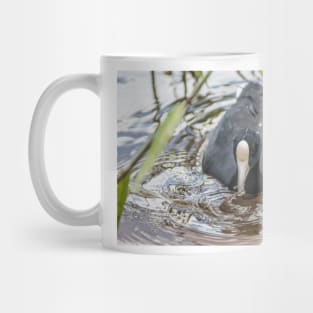 Hawaiian coot in Honolulu 2 Mug